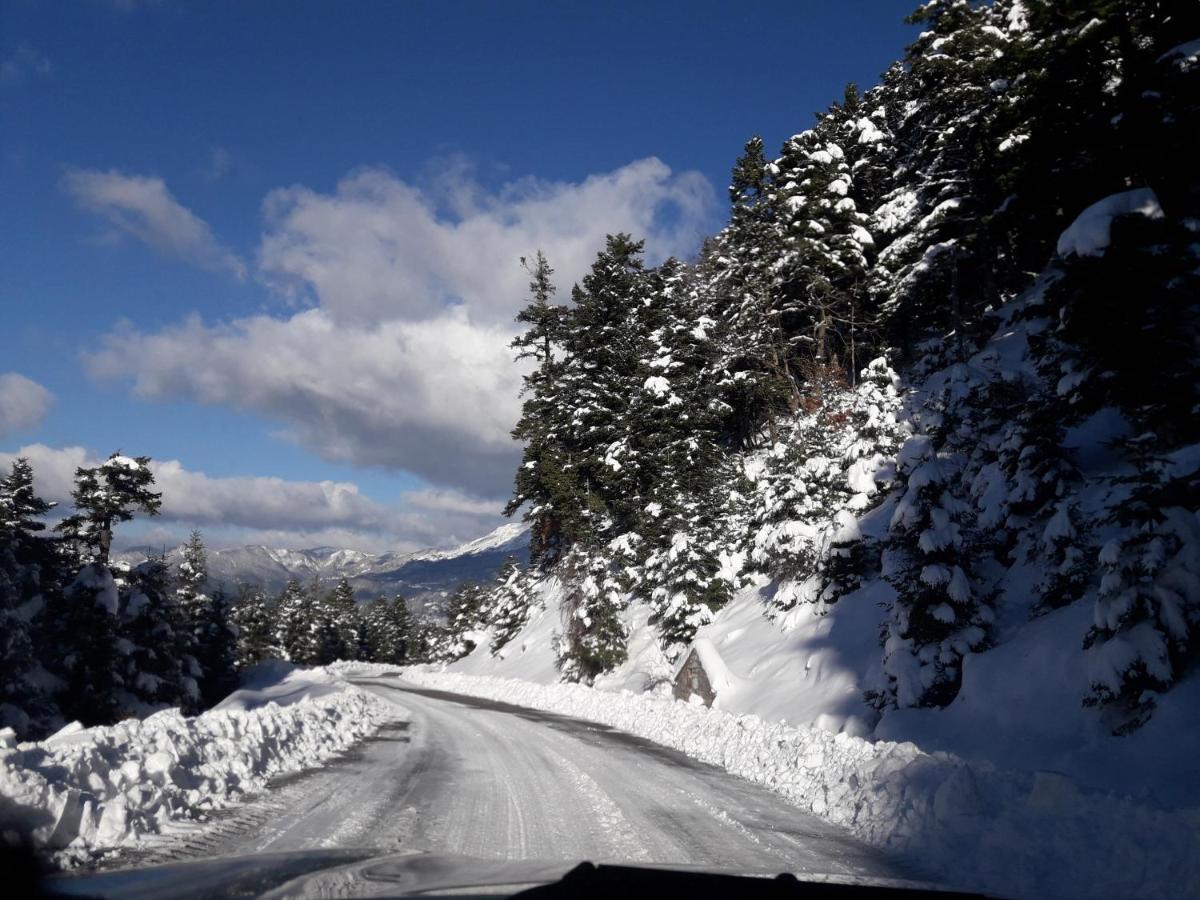 Kedros Chalet Agios Dimitrios  Esterno foto