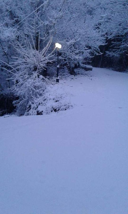 Kedros Chalet Agios Dimitrios  Esterno foto